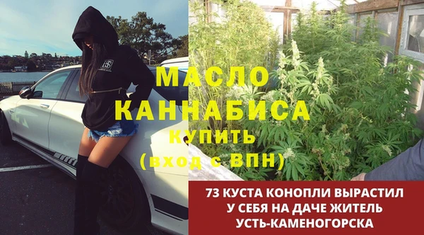 мяу мяу кристалл Богданович