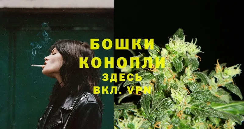 Каннабис SATIVA & INDICA  OMG   Рассказово 